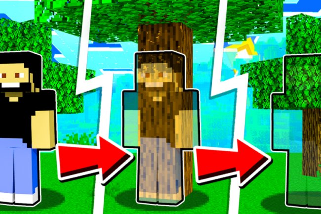 MCPE Invisible Skin