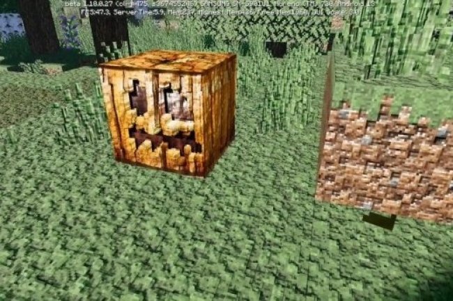 Vanilla Accurate 3d Texture + Shader
