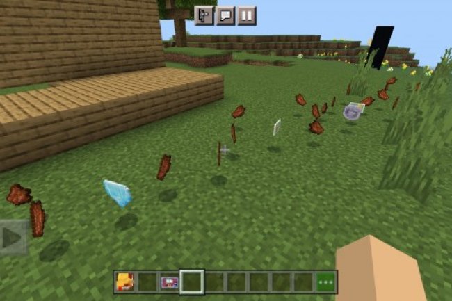 Plants vs Zombies
