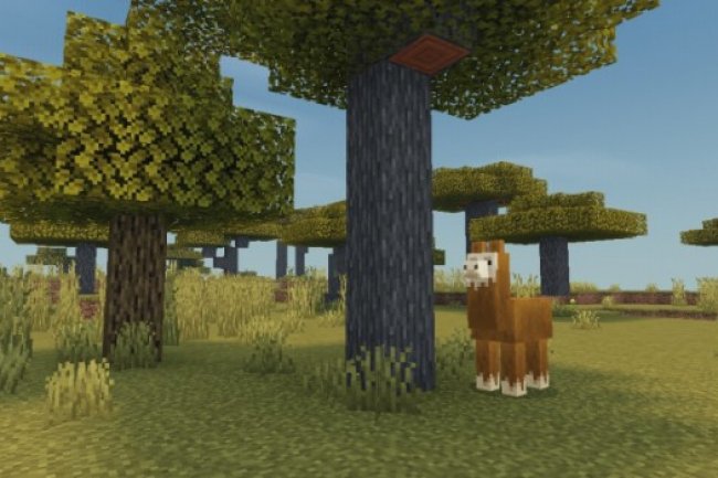 Solitude Shader v0.4