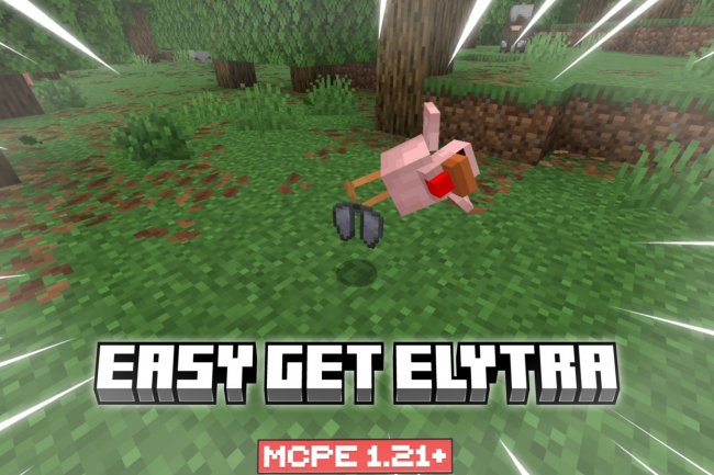 Easy To Get Elytra Addon: Skip the End, Farm Chickens