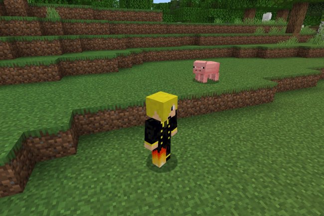 Free Look Texture Pack: Best MCPE Addons for Cinema Mode