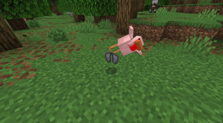 Easy To Get Elytra Addon: Skip the End, Farm Chickens