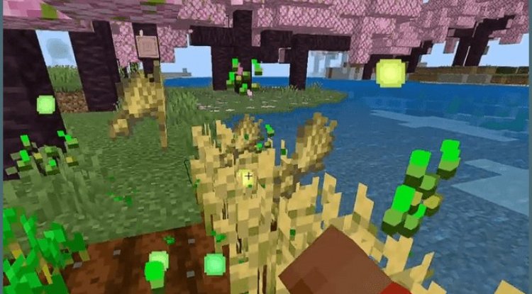 Best MCPE Addon 2026: Auto Replant Crops & XP Orbs
