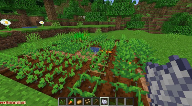 Best MCPE Addon 2026: Auto Replant Crops & XP Orbs