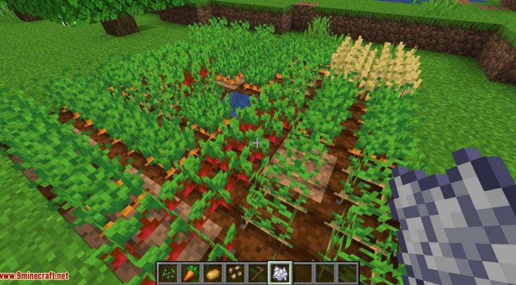 Best MCPE Addon 2026: Auto Replant Crops & XP Orbs