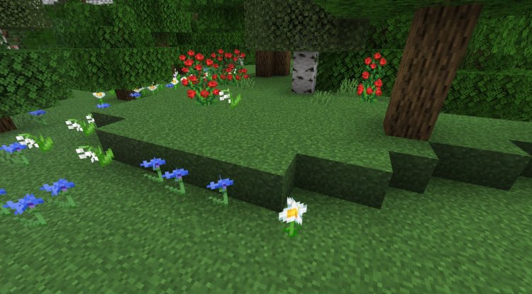 Fast Better Grass Texture Pack: Make Grass Grow Faster MCPE