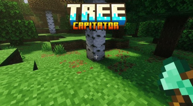 Vors Tree Capitator: Best MCPE Addon for Tree Harvesting