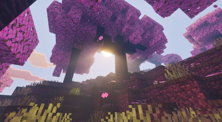 Summerset Visuals Texture Pack - Late Summer Aesthetic for Bedrock