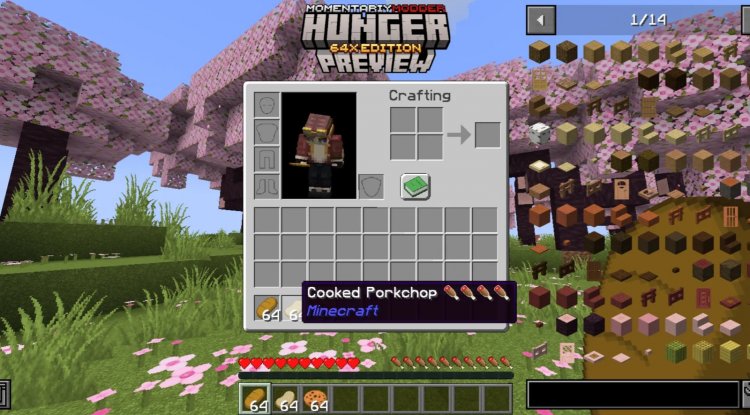 Java-Like Hunger Addon: Best MCPE Addons 2026