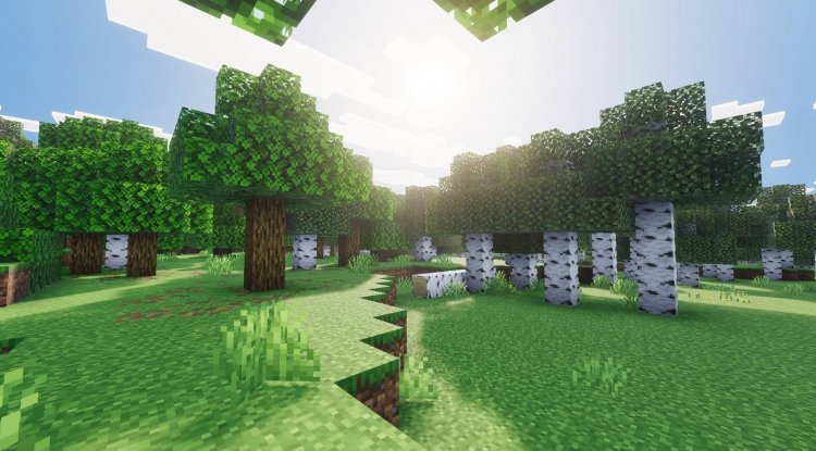 Best MCPE Shaders 2026: Mike Visuals Review