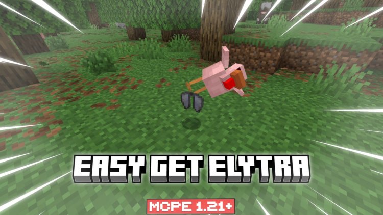 Easy To Get Elytra Addon: Skip the End, Farm Chickens