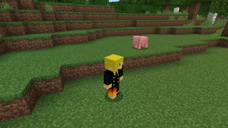 Free Look Texture Pack: Best MCPE Addons for Cinema Mode