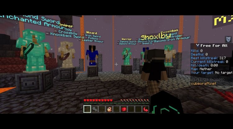 WildNetwork Minecraft server