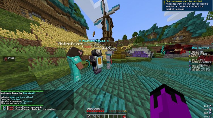 InsanityCraft Minecraft server